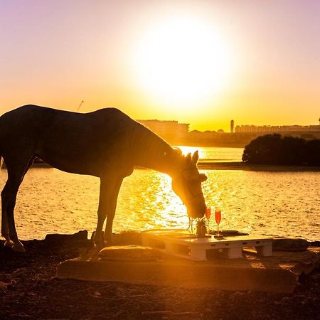 Pura Eco Retreat, Jubail Island Hotel Abu Dhabi Luaran gambar