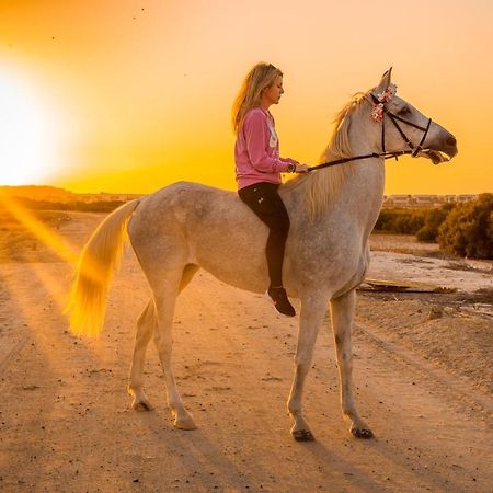 Pura Eco Retreat, Jubail Island Hotel Abu Dhabi Luaran gambar